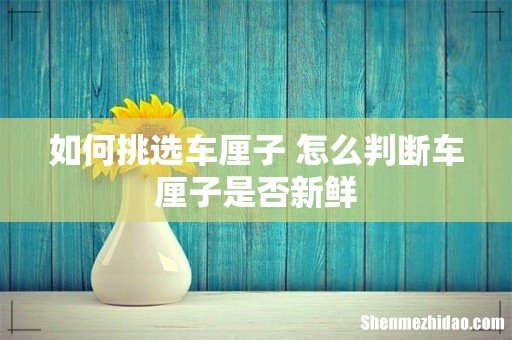 如何挑选车厘子 怎么判断车厘子是否新鲜