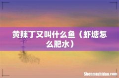 虾塘怎么肥水 黄辣丁又叫什么鱼