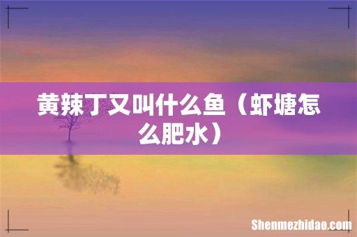 虾塘怎么肥水 黄辣丁又叫什么鱼