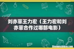 王力宏和刘亦菲合作过哪部电影 刘亦菲王力宏