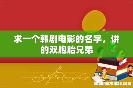 求一个韩剧电影的名字,讲的双胞胎兄弟