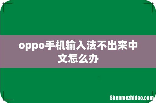 oppo手机输入法不出来中文怎么办