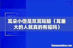 耳垂大的人就真的有福吗 耳朵小但是双耳贴脑