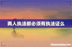 两人执法都必须有执法证么