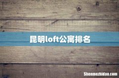 昆明loft公寓排名