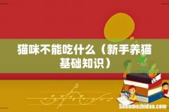 新手养猫基础知识 猫咪不能吃什么
