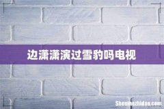 边潇潇演过雪豹吗电视