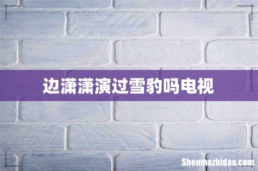 边潇潇演过雪豹吗电视