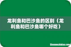龙利鱼和巴沙鱼哪个好吃 龙利鱼和巴沙鱼的区别