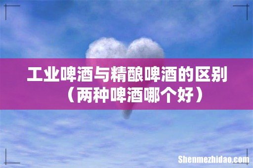 两种啤酒哪个好 工业啤酒与精酿啤酒的区别