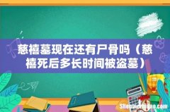 慈禧死后多长时间被盗墓 慈禧墓现在还有尸骨吗