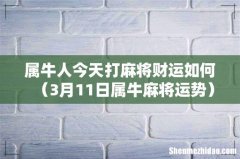 3月11日属牛麻将运势 属牛人今天打麻将财运如何
