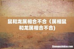 鼠和龙属相合不合（属相鼠和龙属相合不合)