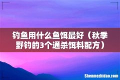 秋季野钓的3个通杀饵料配方 钓鱼用什么鱼饵最好