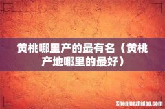 黄桃产地哪里的最好 黄桃哪里产的最有名