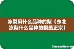 东北冻梨什么品种的梨最正宗 冻梨用什么品种的梨