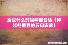 种越冬蚕豆的五句农谚 蚕豆什么时候种最合适
