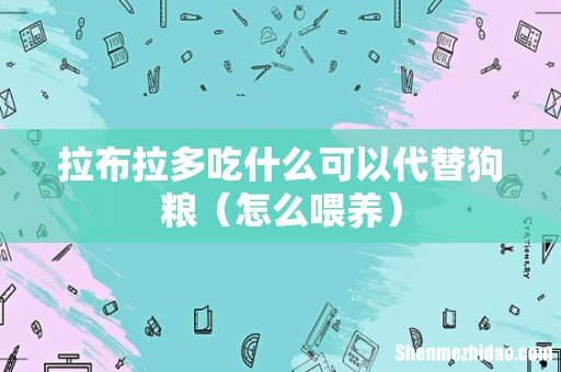 怎么喂养 拉布拉多吃什么可以代替狗粮