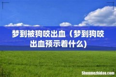 梦到被狗咬出血（梦到狗咬出血预示着什么)