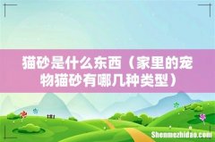 家里的宠物猫砂有哪几种类型 猫砂是什么东西