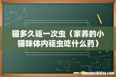 家养的小猫咪体内驱虫吃什么药 猫多久驱一次虫