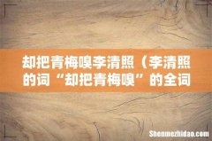 李清照的词“却把青梅嗅”的全词 却把青梅嗅李清照