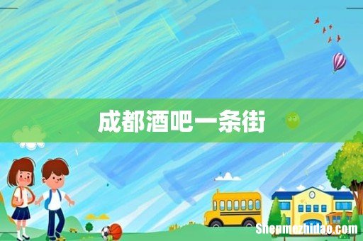 成都酒吧一条街