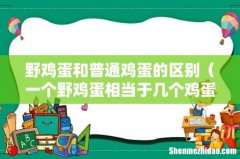一个野鸡蛋相当于几个鸡蛋 野鸡蛋和普通鸡蛋的区别