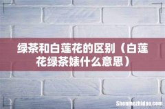 白莲花绿茶婊什么意思 绿茶和白莲花的区别