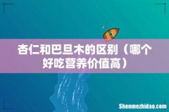 哪个好吃营养价值高 杏仁和巴旦木的区别