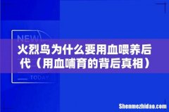 用血哺育的背后真相 火烈鸟为什么要用血喂养后代