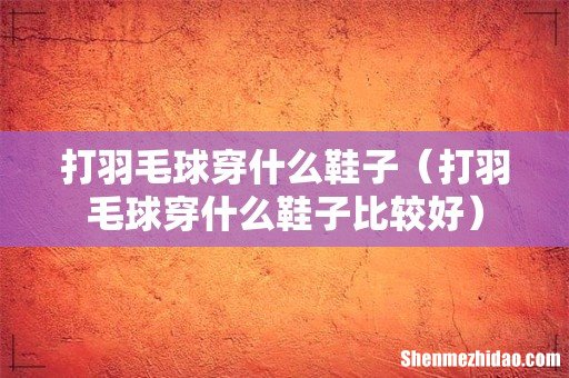 打羽毛球穿什么鞋子比较好 打羽毛球穿什么鞋子