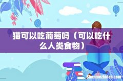 可以吃什么人类食物 猫可以吃葡萄吗