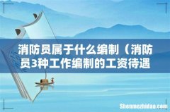 消防员3种工作编制的工资待遇 消防员属于什么编制