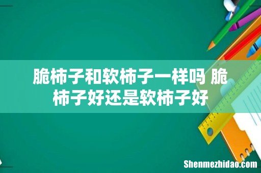 脆柿子和软柿子一样吗 脆柿子好还是软柿子好