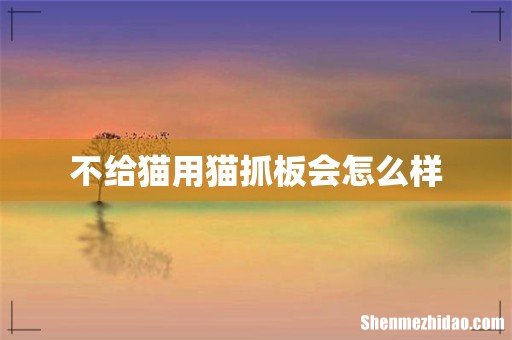 不给猫用猫抓板会怎么样