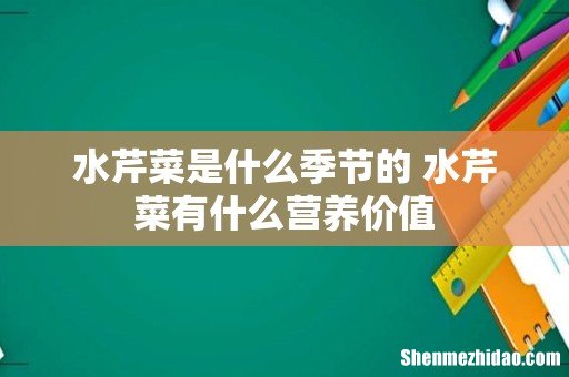 水芹菜是什么季节的 水芹菜有什么营养价值