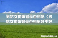 男蛇女狗婚姻是否相配（男蛇女狗婚姻是否相配好不好)