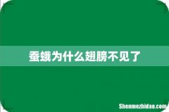 蚕蛾为什么翅膀不见了