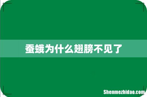 蚕蛾为什么翅膀不见了