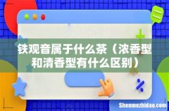浓香型和清香型有什么区别 铁观音属于什么茶