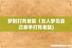 梦到打死老鼠（女人梦见自己亲手打死老鼠)