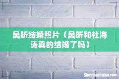 吴昕和杜海涛真的结婚了吗 吴昕结婚照片