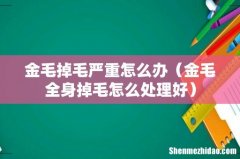 金毛全身掉毛怎么处理好 金毛掉毛严重怎么办