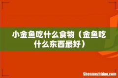 金鱼吃什么东西最好 小金鱼吃什么食物