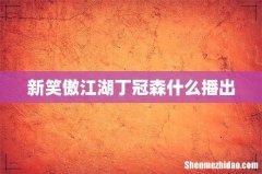新笑傲江湖丁冠森什么播出