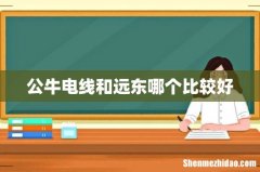 公牛电线和远东哪个比较好