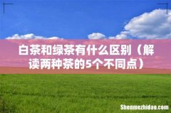 解读两种茶的5个不同点 白茶和绿茶有什么区别
