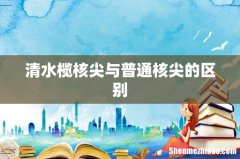 清水榄核尖与普通核尖的区别