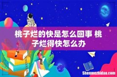 桃子烂的快是怎么回事 桃子烂得快怎么办